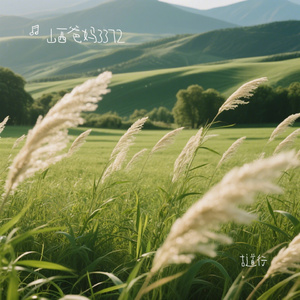 古道行