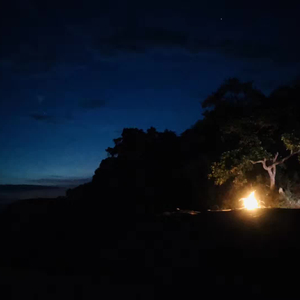 阿尔茨海默的爱.wav