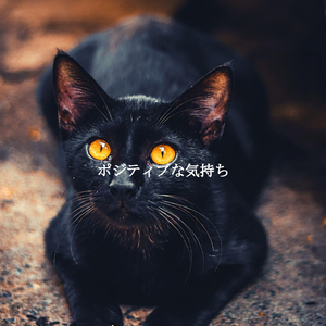 Vibrant Ambience for Calm Nights