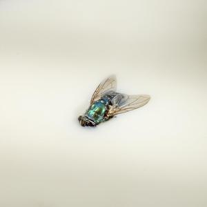 Engelstrompeten (feat. Siebzig Prozent) (Wolfi F. Remix)