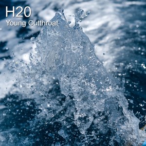 H20 (Instrumental)