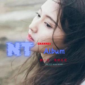 韩小欠 - 落地生花 - 最火歌曲dj