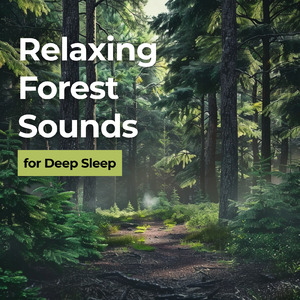 30秒で寝れる音楽 ギターの音色でストレス解消、不眠改善 (自律神経を整える睡眠用 森 鳥)