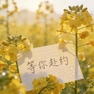 花田等你赴约