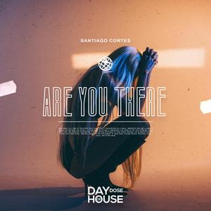 Are You There (Extended Mix)