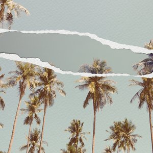 Tropical