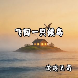 飞回一只候鸟