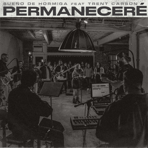 Permaneceré