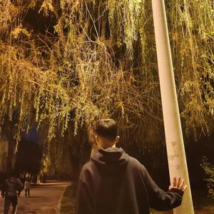 关于郑州的记忆（翻唱）