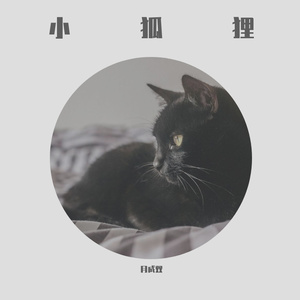 小狐狸-女声版