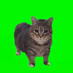 优质男头.（猫版）