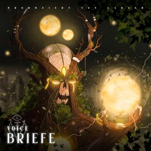 Briefe