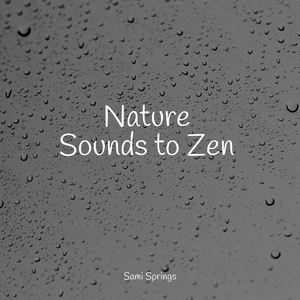 Daytime Cicada Forest