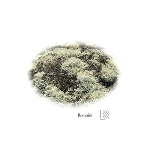 Restraint (Original Mix)