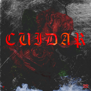 Cuidar