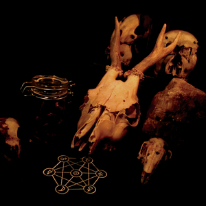 Dipterans in Blood, on Quartz