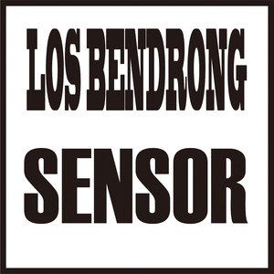Sensor