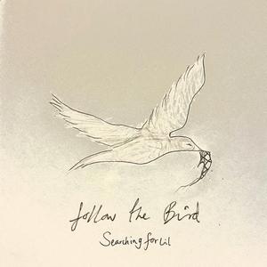 Follow The Bird
