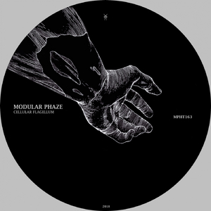 Cellular Flagellum (Original Mix)