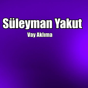 Vay Aklıma