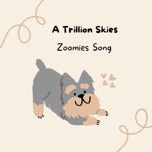 Zoomies Song