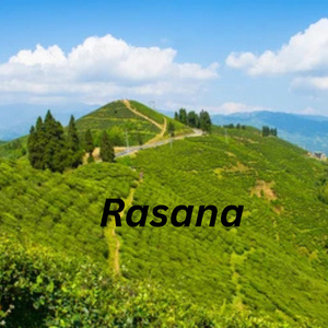 Rasana