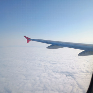 Batidas de adrenalina e medo