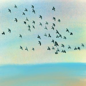 мурмурация