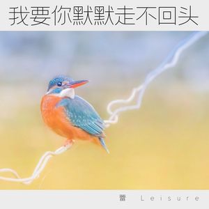 我要你默默走不回头