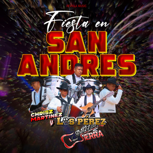 Fiesta en San Andrés Sones de la Sierra de Zongolica