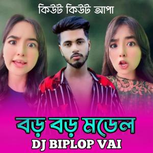 বড় বড় মডেল