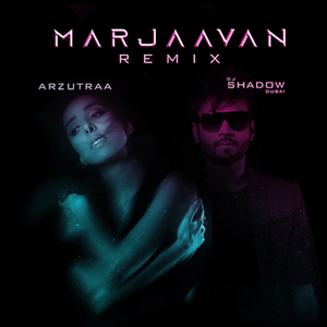Marjaavan (Remix)