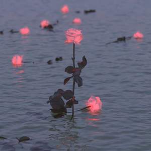 唯一（cover告五人）