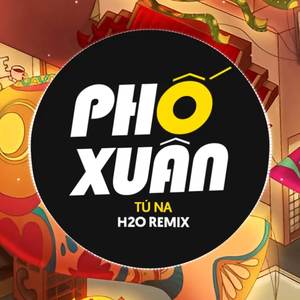 Phố Xuân (Remix)
