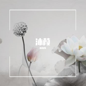 客子光阴