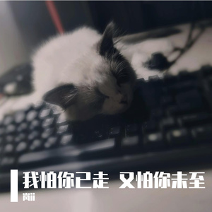 我怕你已走又怕你未至