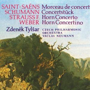 Concerto for French Horn and Orchestra in C minor, Op. 8: I. Allegro moderato