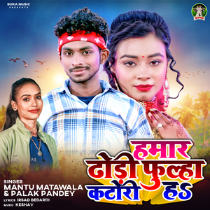 Hamar Dhodhi Fulha Katori Ha