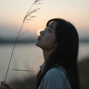 忽而今夏