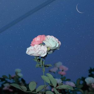 催眠曲舒缓压力 快速入睡-流水人家