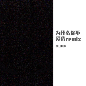 王极-为什么你不爱我（CLLLOUD remix）