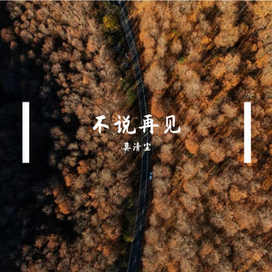 不说再见