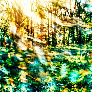 我八点起来一定看朝阳