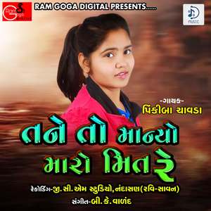 Tane To Manyo Maro Jiv Re