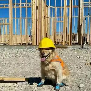 法国风情（欧皇神曲）