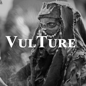 VulTure