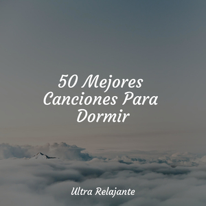 Una Probada A La Tranquilidad