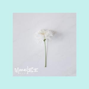 [Free] 杨和苏 & Old School Type Beat “维他命”