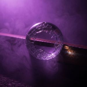 The Final Trace (v1)