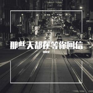 像海鸟等待天空放晴